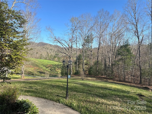 surrounding community featuring a lawn