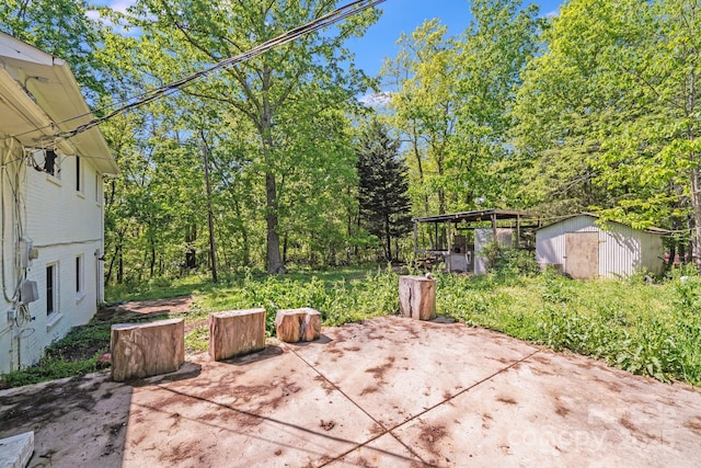 view of patio with an outdoor structure and a storage unit