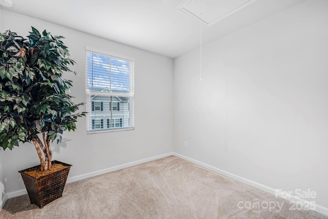 2051 Langer St, Charlotte, NC 28214 - photo 13