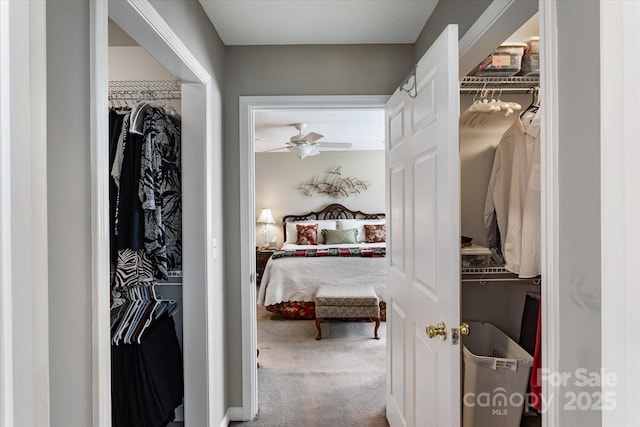 spacious closet featuring carpet flooring and a ceiling fan