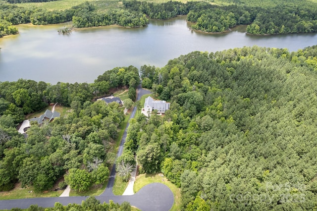 591 Emerald Isle Ct, Lexington, NC 27292 - bird's eye view with a wooded view and a water view