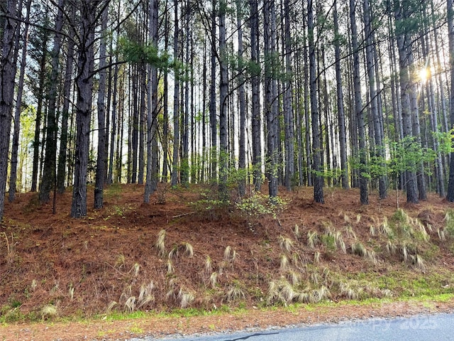 0 Clearwater Pkwy, Rutherfordton, NC 28139