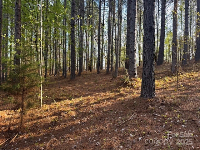 0 Clearwater Pkwy, Rutherfordton, NC 28139