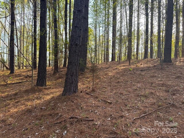 0 Clearwater Pkwy, Rutherfordton, NC 28139