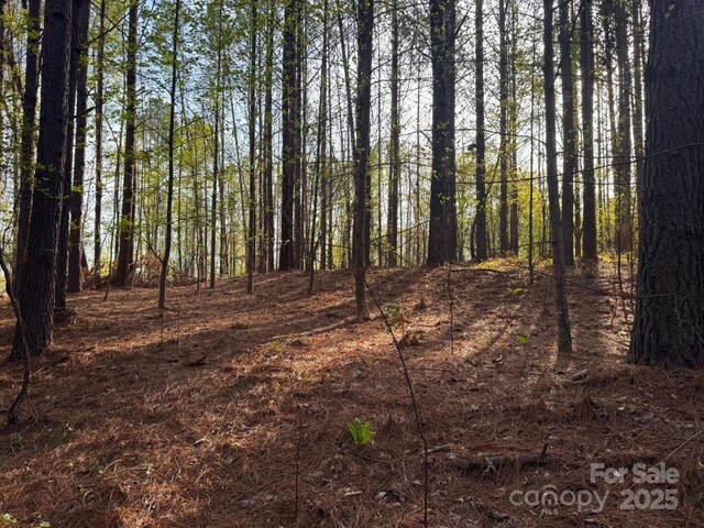 0 Clearwater Pkwy, Rutherfordton, NC 28139
