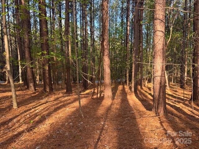 0 Clearwater Pkwy, Rutherfordton, NC 28139