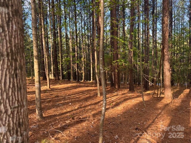 0 Clearwater Pkwy, Rutherfordton, NC 28139
