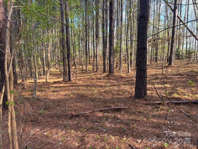 0 Clearwater Pkwy, Rutherfordton, NC 28139