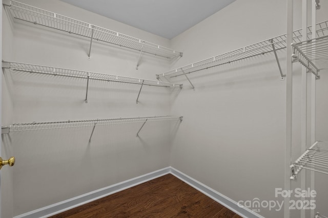 spacious closet featuring dark wood-style flooring