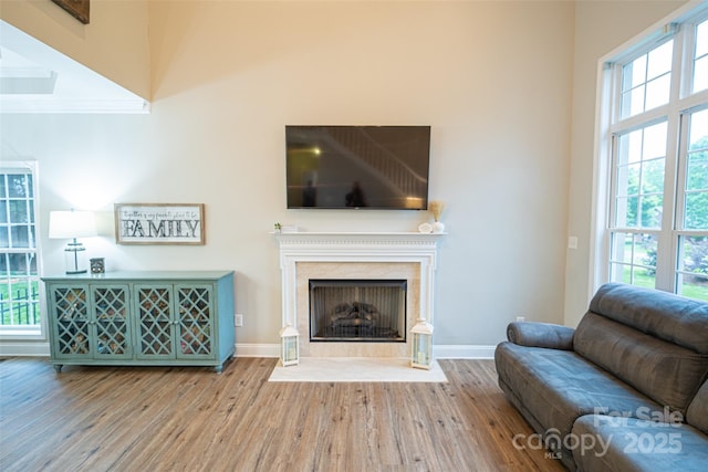 living room featuring a fireplace, baseboards, wood finished floors, and a wealth of natural light