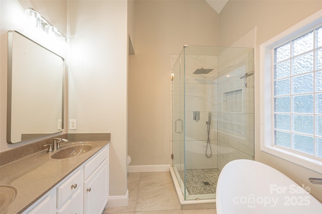 bathroom featuring a wealth of natural light, a sink, double vanity, and a stall shower