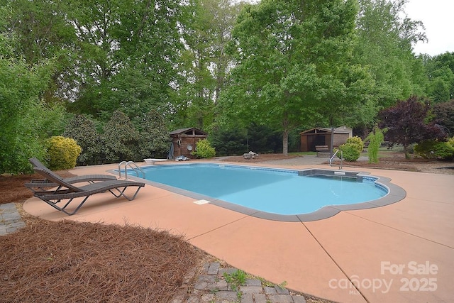 outdoor pool featuring an outdoor structure, a patio area, a storage shed, and a diving board