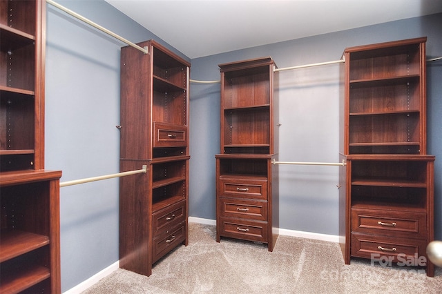 walk in closet with light carpet