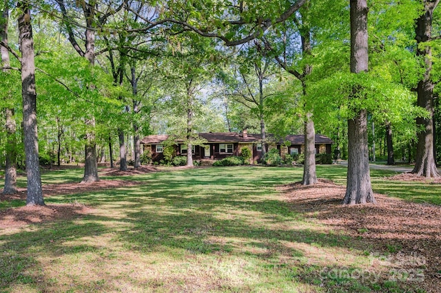 2415 Hargette Rd, Monroe, NC 28112 - view of yard
