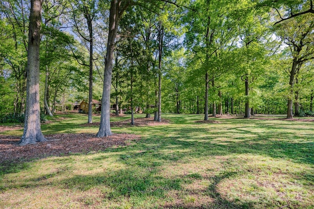 2415 Hargette Rd, Monroe, NC 28112 - view of yard
