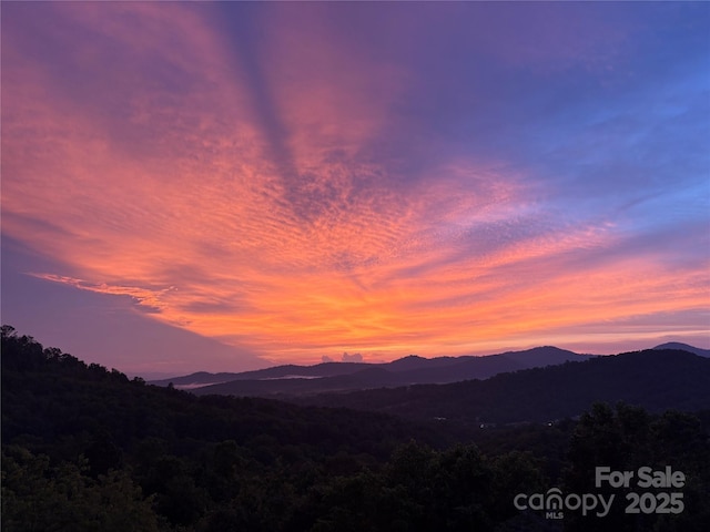 116 Dalya Rd, Swannanoa, NC 28778 - view of mountain backdrop