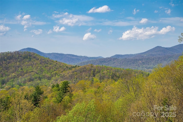 116 Dalya Rd, Swannanoa, NC 28778 - view of mountain background with a heavily wooded area
