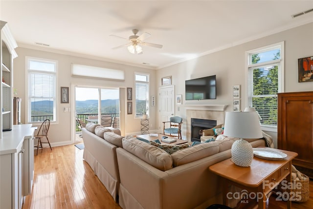 116 Dalya Rd, Swannanoa, NC 28778 - living area featuring ornamental molding, a fireplace, a ceiling fan, light wood-type flooring, and healthy amount of natural light