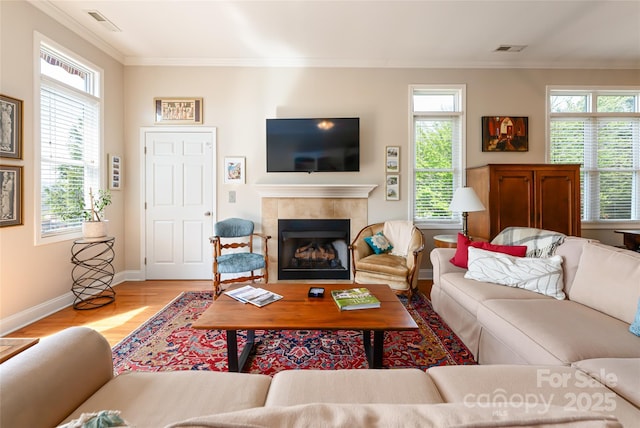 116 Dalya Rd, Swannanoa, NC 28778 - living room featuring a fireplace, ornamental molding, and wood finished floors