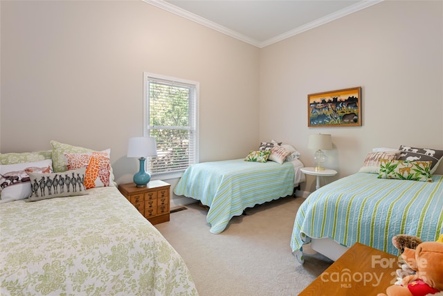 116 Dalya Rd, Swannanoa, NC 28778 - bedroom with ornamental molding and carpet flooring