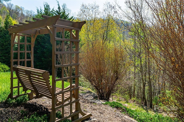 116 Dalya Rd, Swannanoa, NC 28778 - view of yard