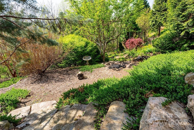 116 Dalya Rd, Swannanoa, NC 28778 - view of yard