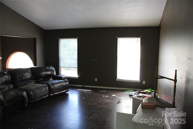 5164 Ralph Winchester Rd, Lenoir, NC 28645 - living room with lofted ceiling, a textured ceiling, wood finished floors, and a healthy amount of sunlight