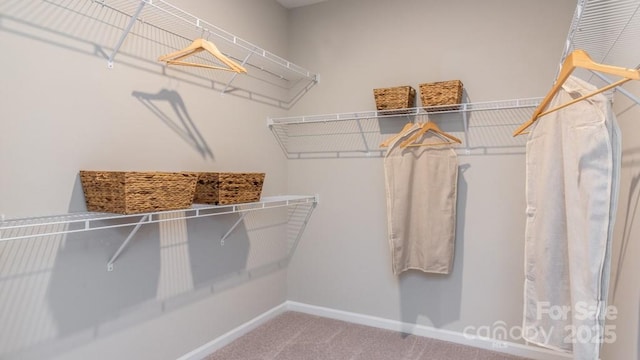 13304 Chopin Ridge Dr, Huntersville, NC 28078 - photo 32