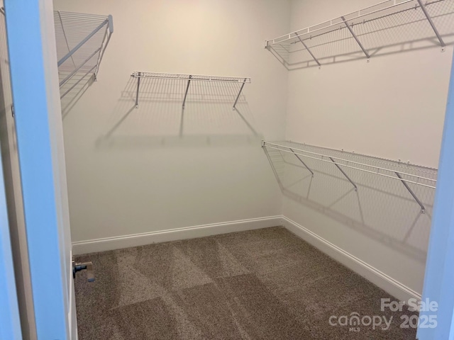 13304 Chopin Ridge Dr, Huntersville, NC 28078 - photo 11