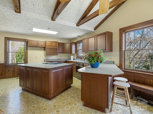 kitchen featuring a peninsula, a textured ceiling, dishwasher, wainscoting, and vaulted ceiling with beams