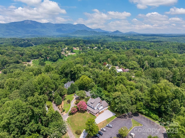 44 Bickford Ave, Tryon, NC 28782 - photo 39