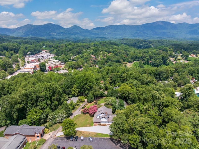 44 Bickford Ave, Tryon, NC 28782 - photo 40
