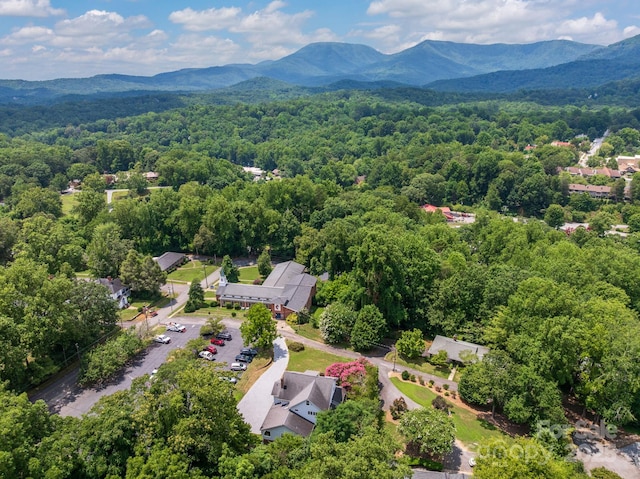 44 Bickford Ave, Tryon, NC 28782 - photo 41