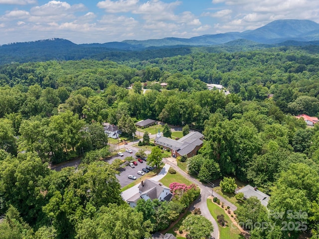 44 Bickford Ave, Tryon, NC 28782 - photo 42