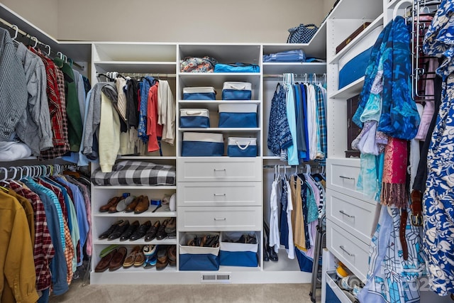 spacious closet with carpet floors