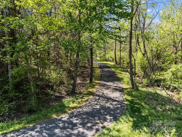 view of road featuring a view of trees