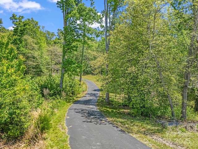 575 Hill Rd, Lincolnton, NC 28092 - view of road featuring a forest view