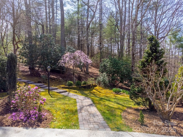 311 Winding Way Dr, Franklin, NC 28734 - photo 40