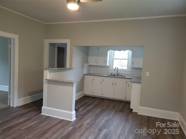 kitchen featuring baseboards, a ceiling fan, a sink, and ornamental molding