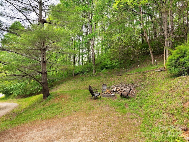 view of yard with a fire pit