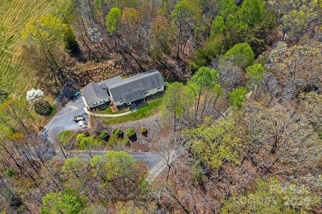 54 Golddigger Dr, Candler, NC 28715 - bird's eye view