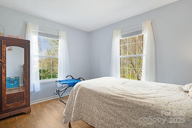 54 Golddigger Dr, Candler, NC 28715 - bedroom featuring baseboards, multiple windows, and wood finished floors