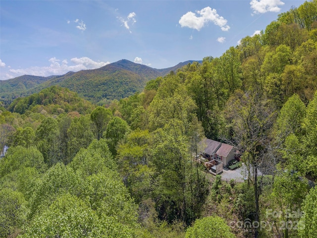 860 Creekside Dr, Maggie Valley, NC 28751 - photo 7
