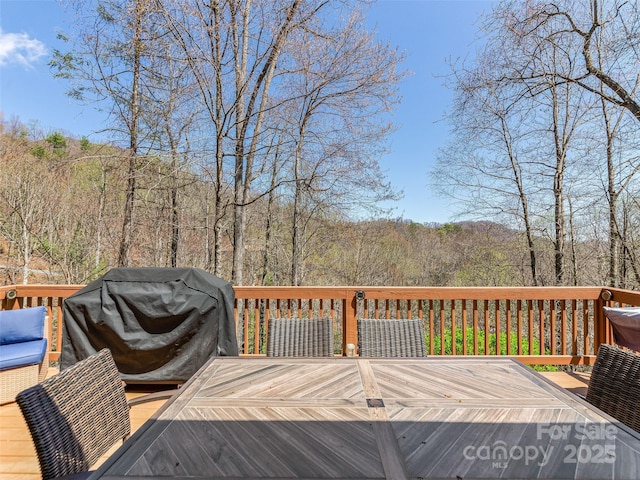 860 Creekside Dr, Maggie Valley, NC 28751 - photo 26