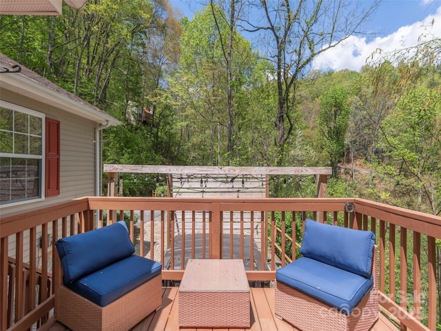 860 Creekside Dr, Maggie Valley, NC 28751 - photo 45