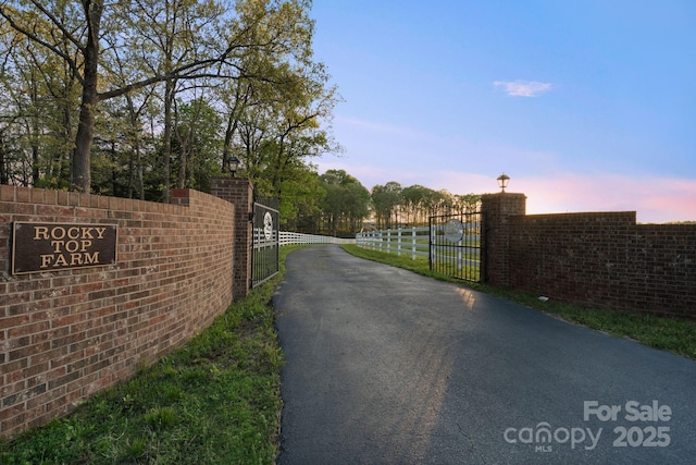 view of street featuring street lights, a gated entry, a gate, and aphalt driveway