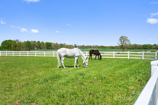 view of yard featuring a rural view and fence