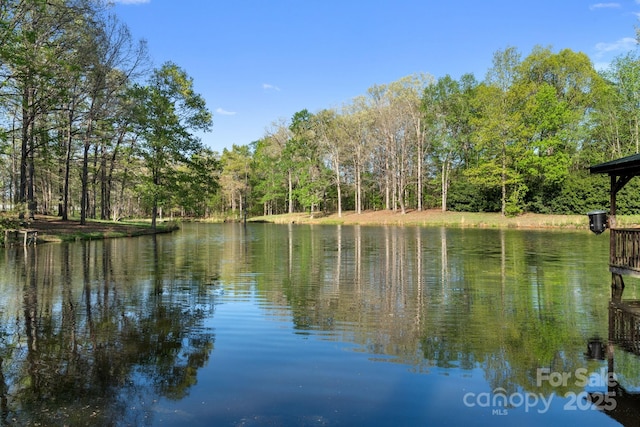 property view of water featuring a wooded view