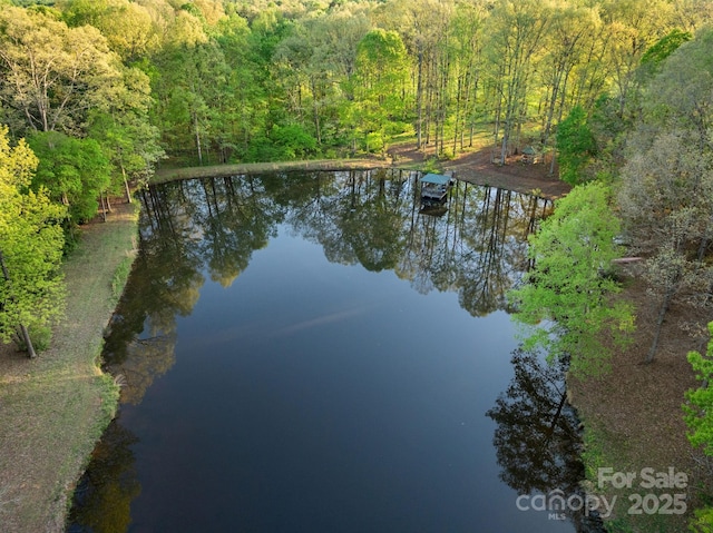 birds eye view of property with a wooded view and a water view