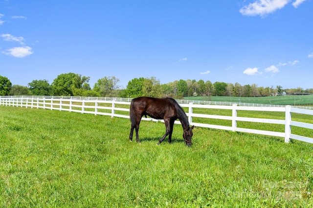 view of horse barn with a rural view